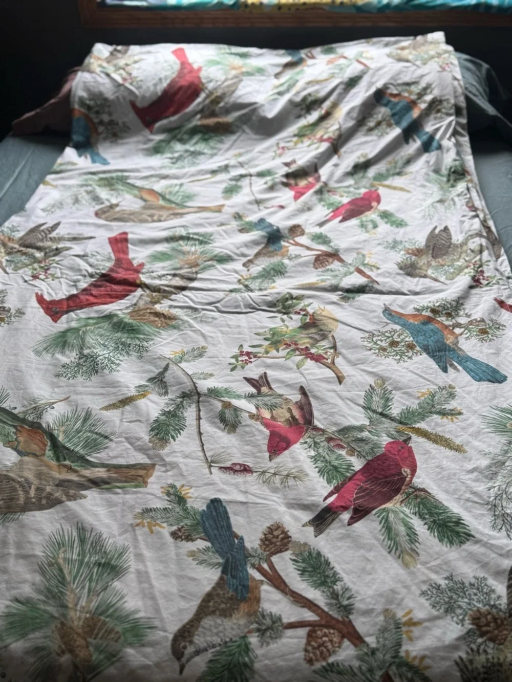 POTTERY BARN “Fauna Birds” Percale Cotton Colorful Duvet Cover Full/Queen